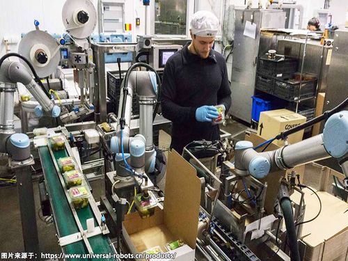 工業(yè)機械臂助力中小企業(yè)的微型工廠發(fā)展壯大